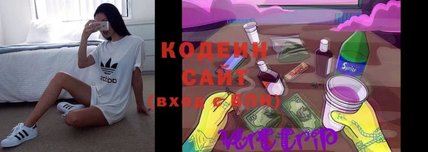 стаф Верея