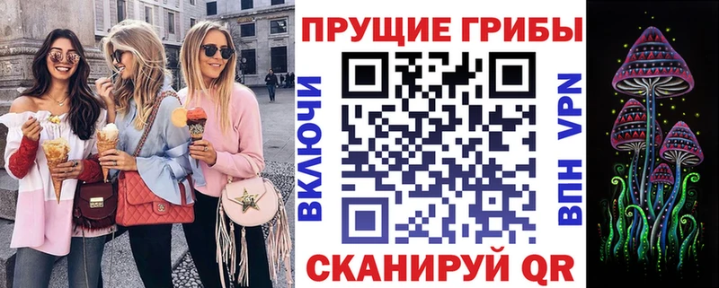 Галлюциногенные грибы мицелий  Иннополис 